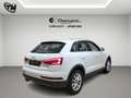 Audi Q3 2.0 tdi Business 120cv *IVA ESPOSTA* Bianco - thumbnail 5