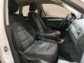 Audi Q3 2.0 tdi Business 120cv *IVA ESPOSTA* Bianco - thumbnail 13