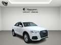 Audi Q3 2.0 tdi Business 120cv *IVA ESPOSTA* Bianco - thumbnail 3