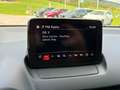 Mazda CX-3 CX-3 G121 Takumi Takumi Rot - thumbnail 13