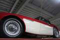Austin-Healey 3000 MK2 "Trade-in car" Great driver's quality, Partial Красный - thumbnail 8
