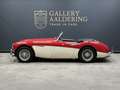 Austin-Healey 3000 MK2 "Trade-in car" Great driver's quality, Partial Красный - thumbnail 9
