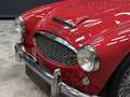 Austin-Healey 3000 MK2 "Trade-in car" Great driver's quality, Partial Красный - thumbnail 32