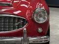 Austin-Healey 3000 MK2 "Trade-in car" Great driver's quality, Partial Красный - thumbnail 25