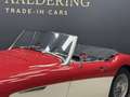Austin-Healey 3000 MK2 "Trade-in car" Great driver's quality, Partial Красный - thumbnail 31