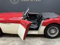 Austin-Healey 3000 MK2 "Trade-in car" Great driver's quality, Partial Красный - thumbnail 14