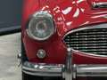 Austin-Healey 3000 MK2 "Trade-in car" Great driver's quality, Partial Красный - thumbnail 24
