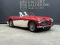 Austin-Healey 3000 MK2 "Trade-in car" Great driver's quality, Partial Красный - thumbnail 35