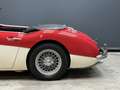 Austin-Healey 3000 MK2 "Trade-in car" Great driver's quality, Partial Красный - thumbnail 17