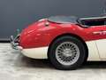 Austin-Healey 3000 MK2 "Trade-in car" Great driver's quality, Partial Красный - thumbnail 43
