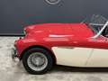 Austin-Healey 3000 MK2 "Trade-in car" Great driver's quality, Partial Красный - thumbnail 18
