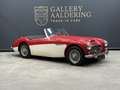 Austin-Healey 3000 MK2 "Trade-in car" Great driver's quality, Partial Красный - thumbnail 34