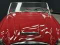 Austin-Healey 3000 MK2 "Trade-in car" Great driver's quality, Partial Красный - thumbnail 27