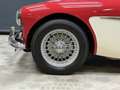 Austin-Healey 3000 MK2 "Trade-in car" Great driver's quality, Partial Красный - thumbnail 22