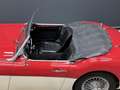 Austin-Healey 3000 MK2 "Trade-in car" Great driver's quality, Partial Красный - thumbnail 21