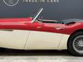 Austin-Healey 3000 MK2 "Trade-in car" Great driver's quality, Partial Красный - thumbnail 16