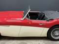 Austin-Healey 3000 MK2 "Trade-in car" Great driver's quality, Partial Красный - thumbnail 19