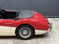 Austin-Healey 3000 MK2 "Trade-in car" Great driver's quality, Partial Красный - thumbnail 20