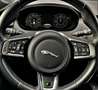 Jaguar E-Pace D180 AWD R-DYNAMIC HSE Performance Virtuel 1erMain Grau - thumbnail 31