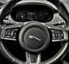 Jaguar E-Pace D180 AWD R-DYNAMIC HSE Performance Virtuel 1erMain Grau - thumbnail 42