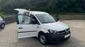 Volkswagen Caddy NFZ Maxi 1.4 TSi Automatik 1.Hand/Tempomat Weiß - thumbnail 21
