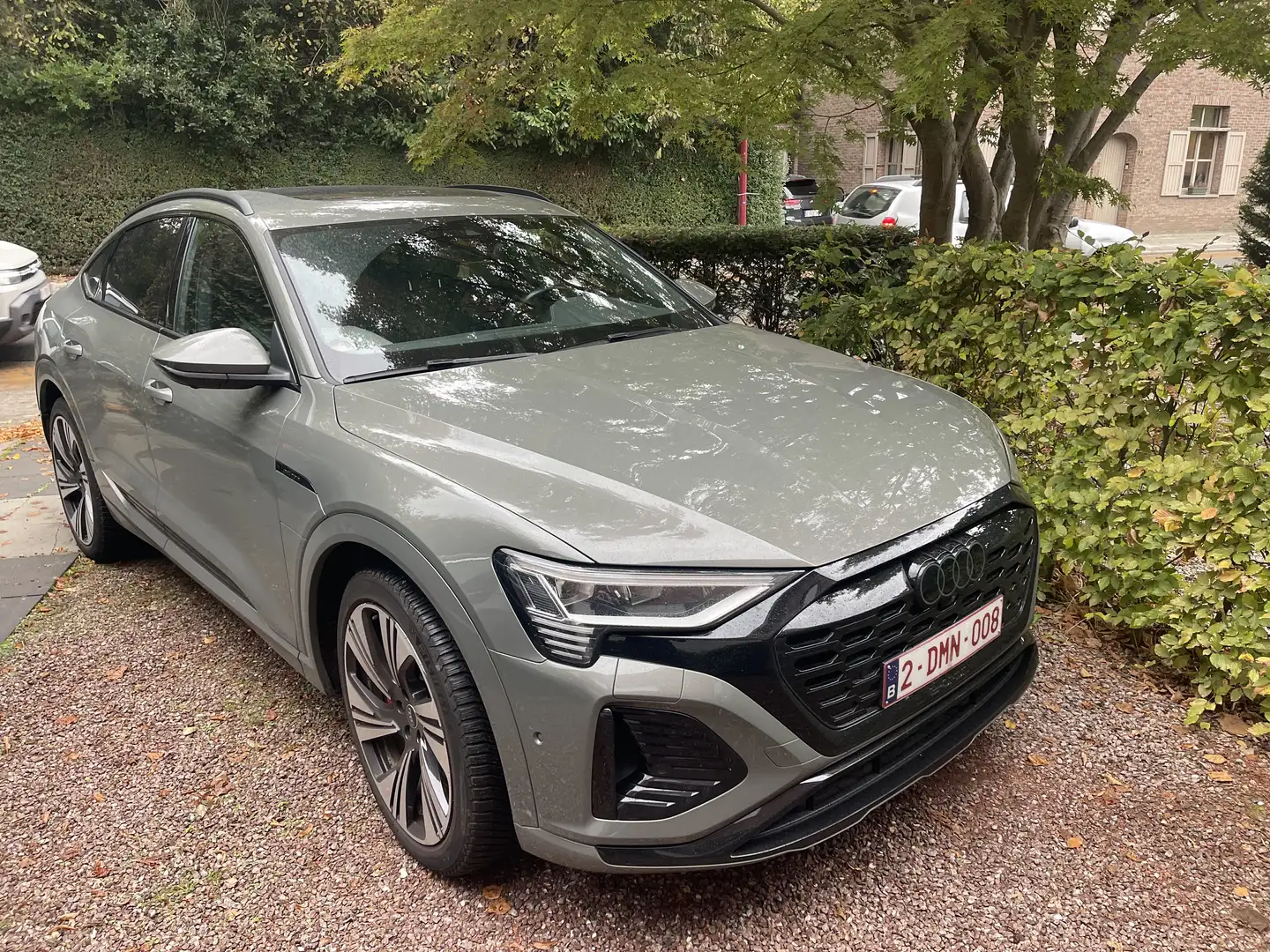 Audi Q8 e-tron Q8 e-tron Sportback 55 quattro S line Groen - 1