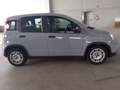 Fiat Panda Panda 1.0 FireFly S&S Hybrid City Life - thumbnail 8