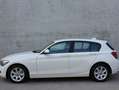 BMW 116 116i/5-deur/Zetelv./Multistuur Blanc - thumbnail 3