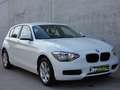 BMW 116 116i/5-deur/Zetelv./Multistuur Blanc - thumbnail 6