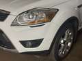 Ford Kuga Kuga 2,0 Titanium 4x4 TDCI DPF Titanium Weiß - thumbnail 5