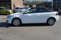 Volkswagen Golf Cabriolet 1.2 TSI CUP EDITION NAVI/PDC/CRUISE/STOELVERW PERF Blanc - thumbnail 40