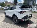 Kia Sportage HEV 1.6T 2WD Spirit DriveWise Paket Weiß - thumbnail 4