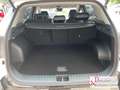 Kia Sportage HEV 1.6T 2WD Spirit DriveWise Paket Weiß - thumbnail 7