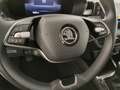 Skoda Fabia 1.0 mpi evo Selection 80cv Grigio - thumbnail 11