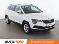 Skoda Karoq Skoda Karoq 2.0 TDI Style 4x4 Aut. *LED*ACC*AHK* Білий - thumbnail 8