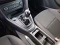 Ford Focus SW 1.5 tdci Titanium Business s&s 95cv Nero - thumbnail 15
