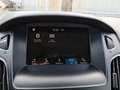 Ford Focus SW 1.5 tdci Titanium Business s&s 95cv Nero - thumbnail 23