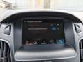 Ford Focus SW 1.5 tdci Titanium Business s&s 95cv Nero - thumbnail 13