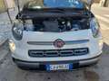 Fiat 500L 500L 1.4 tjt Mirror Gpl 120cv Bianco - thumbnail 11