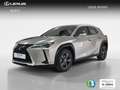 Lexus UX 250h Business 2WD Silber - thumbnail 4
