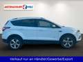 Ford Kuga 1.5 EcoBoost Titanium 4x4 Automatik Blanc - thumbnail 4