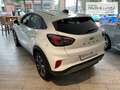 Ford Puma Titanium LED Rückfahrkam. Navi Beheizb. Frontsch. Blanc - thumbnail 2