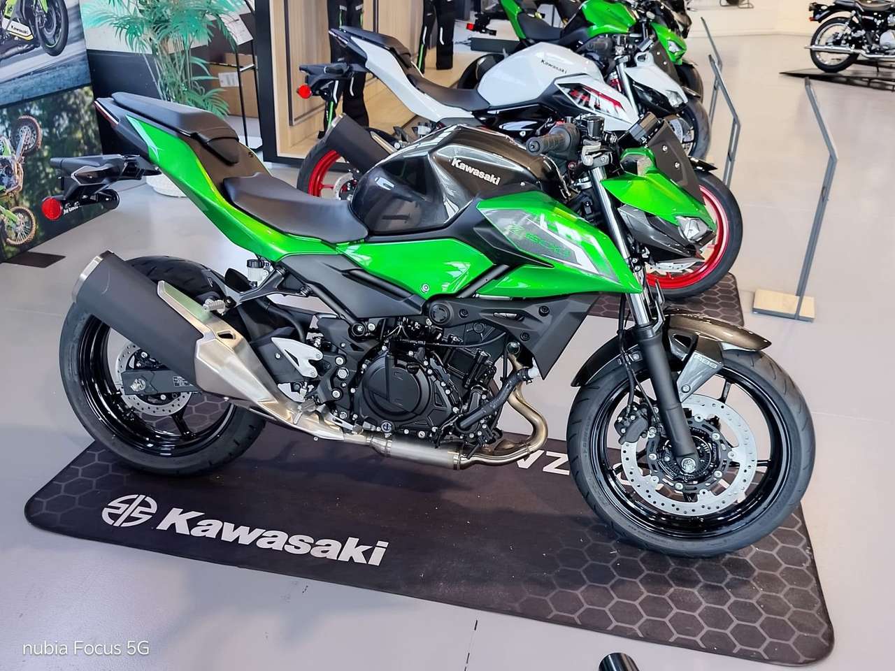 Kawasaki Z 500 Z500  m.y. 2026