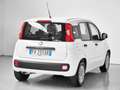 Fiat Panda Panda 1.2 Easy easypower Gpl 69cv my19 Bianco - thumbnail 3