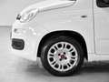 Fiat Panda Panda 1.2 Easy easypower Gpl 69cv my19 Bianco - thumbnail 11