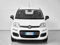 Fiat Panda Panda 1.2 Easy easypower Gpl 69cv my19 Bianco - thumbnail 1