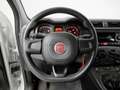 Fiat Panda Panda 1.2 Easy easypower Gpl 69cv my19 Bianco - thumbnail 12