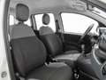 Fiat Panda Panda 1.2 Easy easypower Gpl 69cv my19 Bianco - thumbnail 8