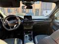 Ford Kuga Kuga III 2.5 phev ST-Line X 2wd 225cv cvt Negru - thumbnail 19