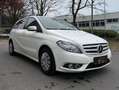 Mercedes-Benz B 160 B 160 CDI Weiß - thumbnail 3